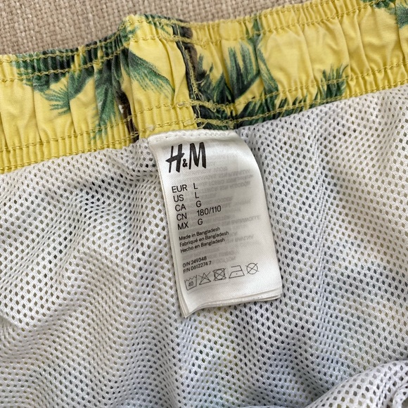 PacSun Swimtrunks - Picture 3 of 3